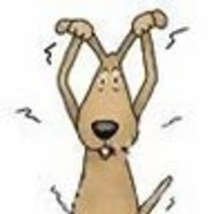 Meet your Posher, Jana